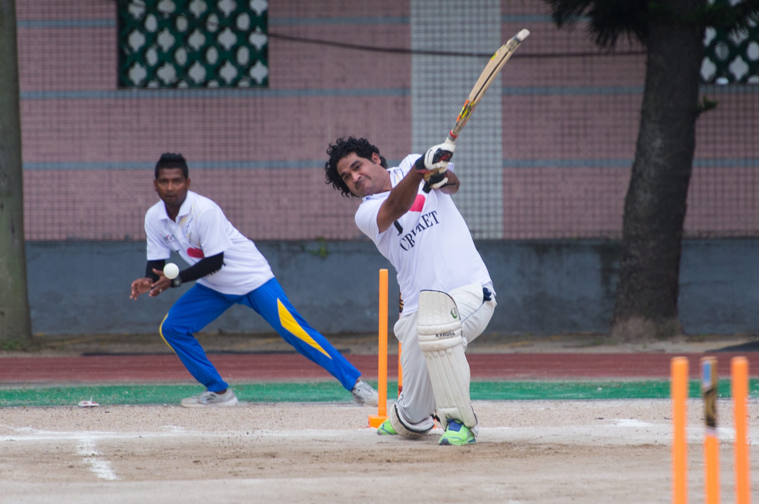 dedomil old cricket game