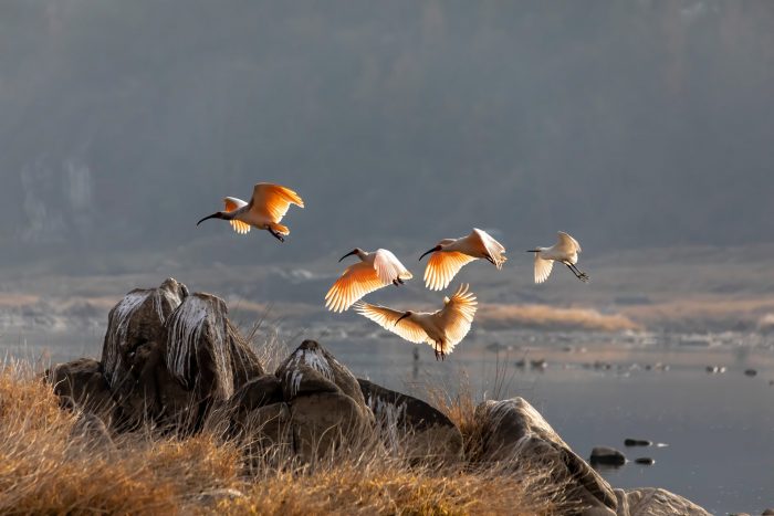 XINHUA PHOTOS OF THE DAY XINHUA PHOTOS OF THE DAY