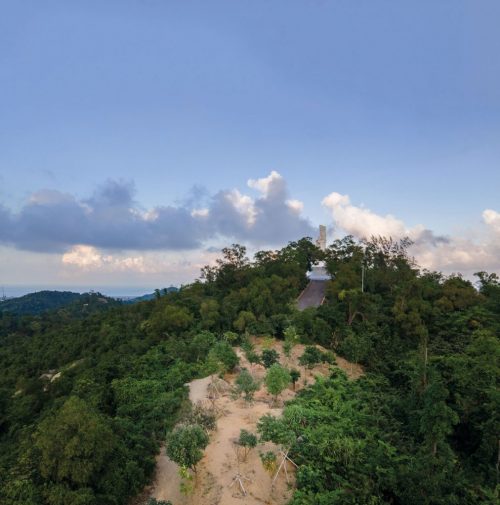 One of the reforestation sites near the A-Ma Goddess Statue in Coloane