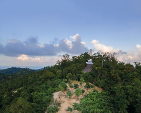 One of the reforestation sites near the A-Ma Goddess Statue in Coloane