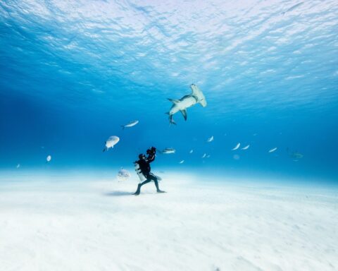 LA MER exhibition