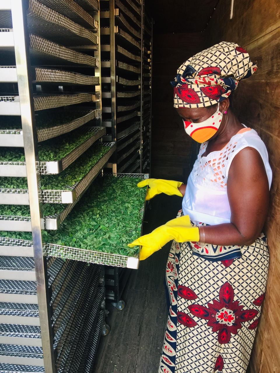 Agira ‘Queen’ Muterra granted Ekithi access to her land so they could move easily through the fields.