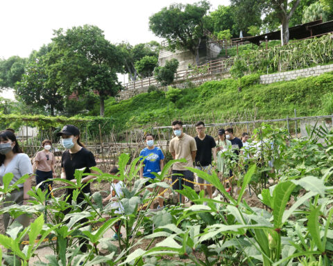Oscar Farm