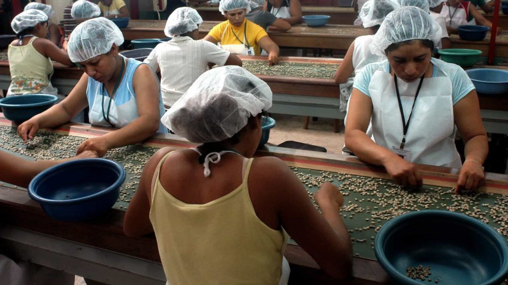 Hand-sorting beans not only improves the quality of coffee, it provides additional jobs to the community