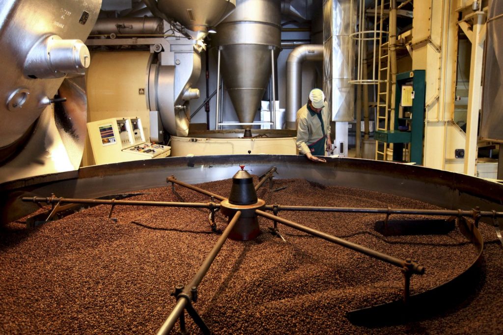 A worker takes a sample of the freshly roasted coffee beans