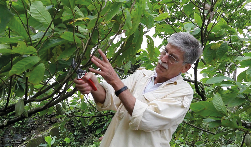 Claudio Corallo