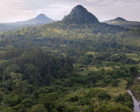 Gorongosa National Park
