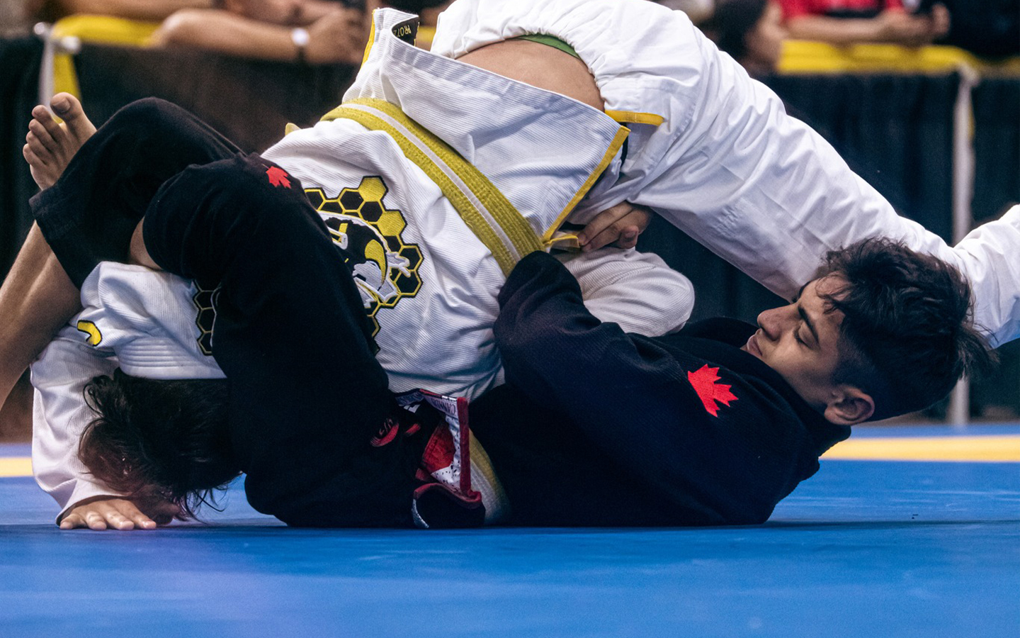 Learn Real Jiu-Jitsu from a 4-time world champion teacher