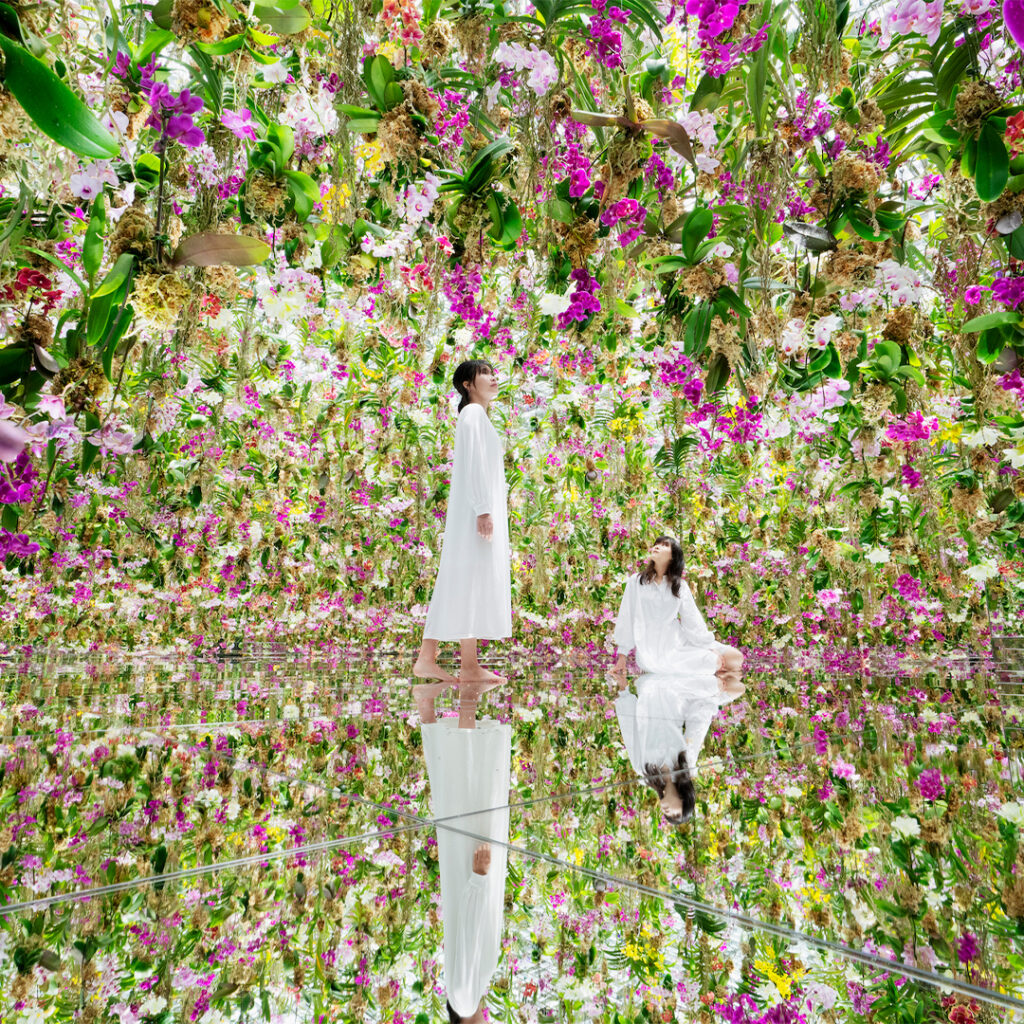 teamlab