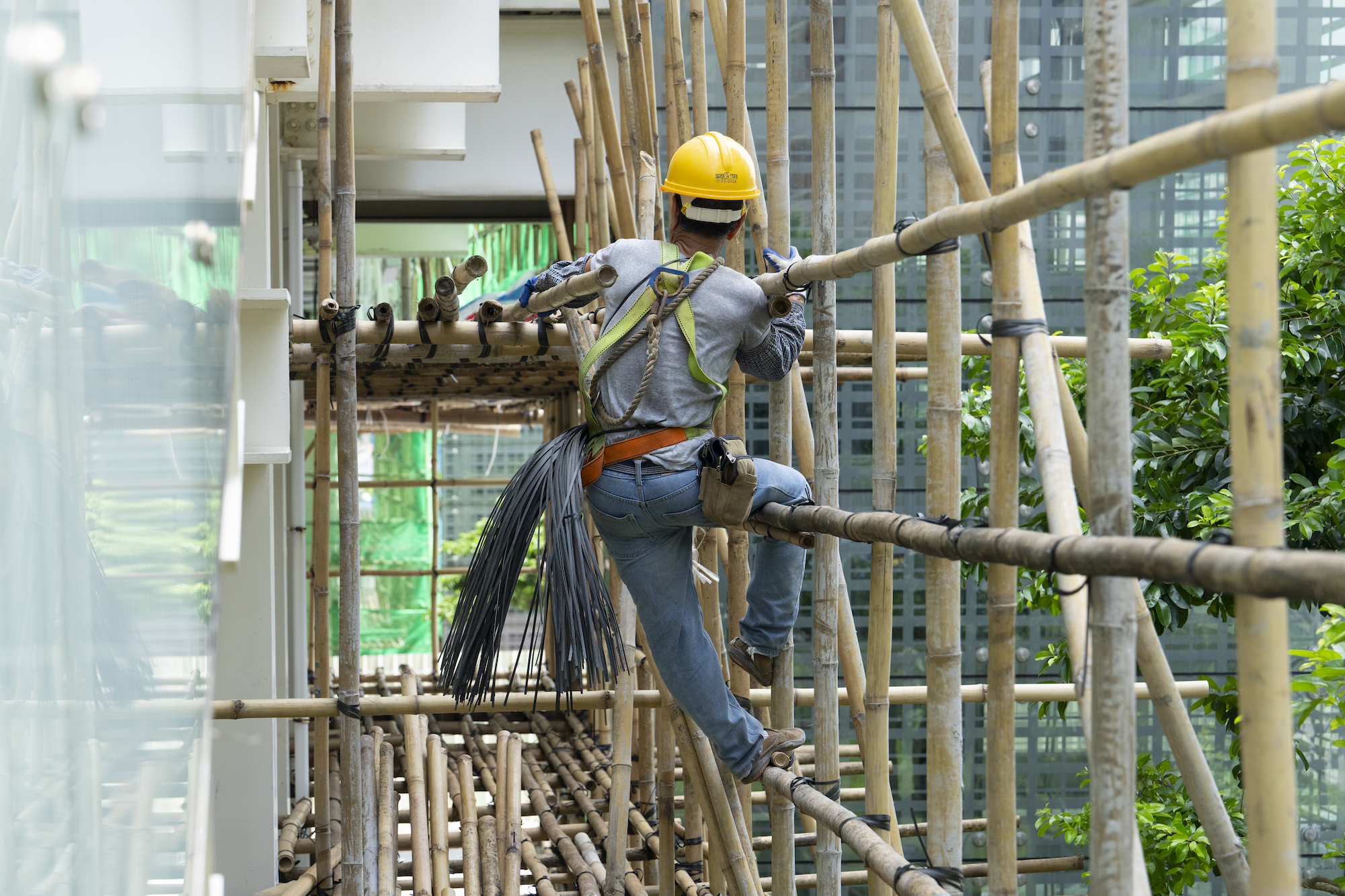 Bamboo scaffolding