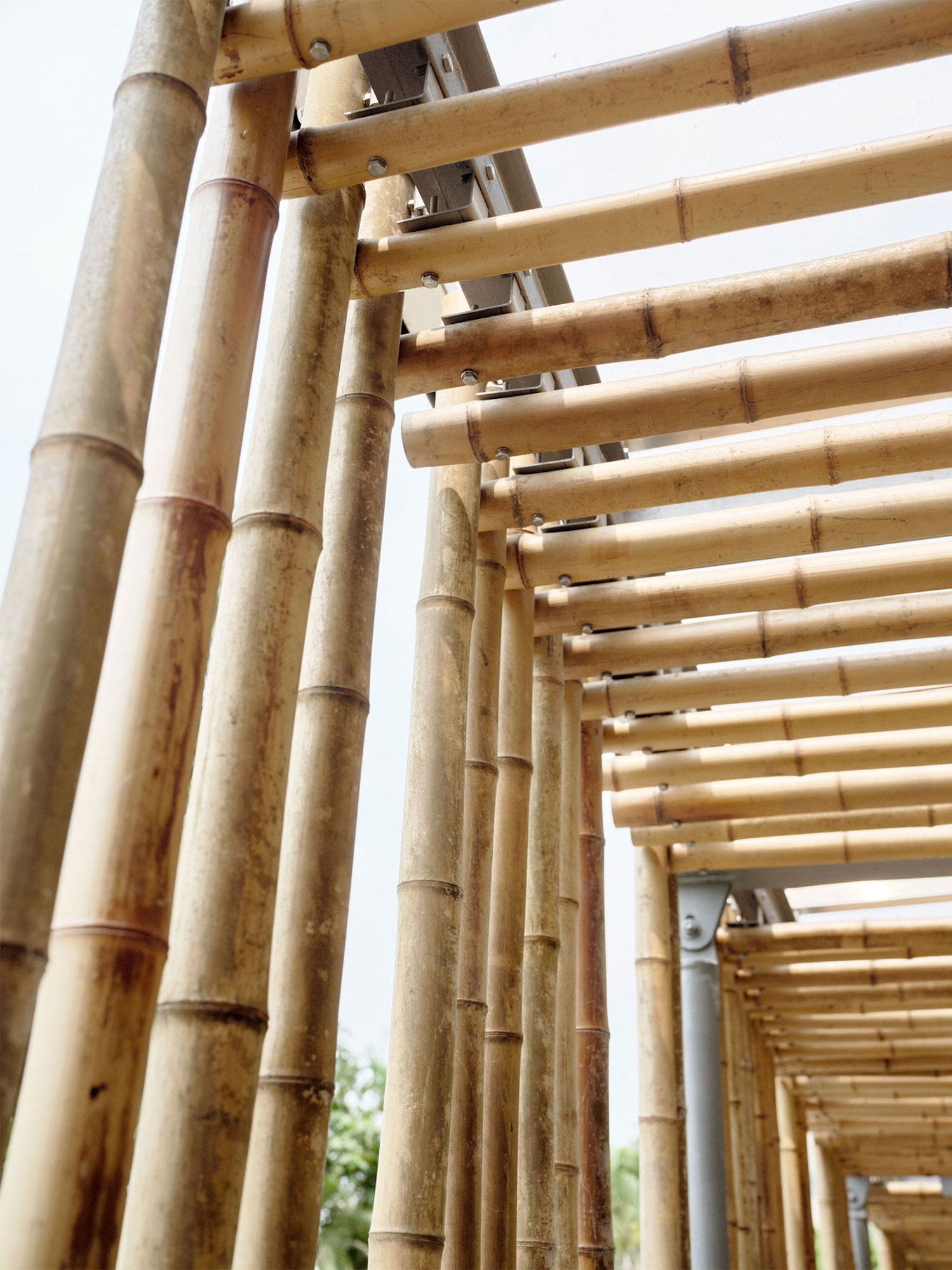 Impromptu Projects incorporates bamboo into many of their works, both at home and abroad