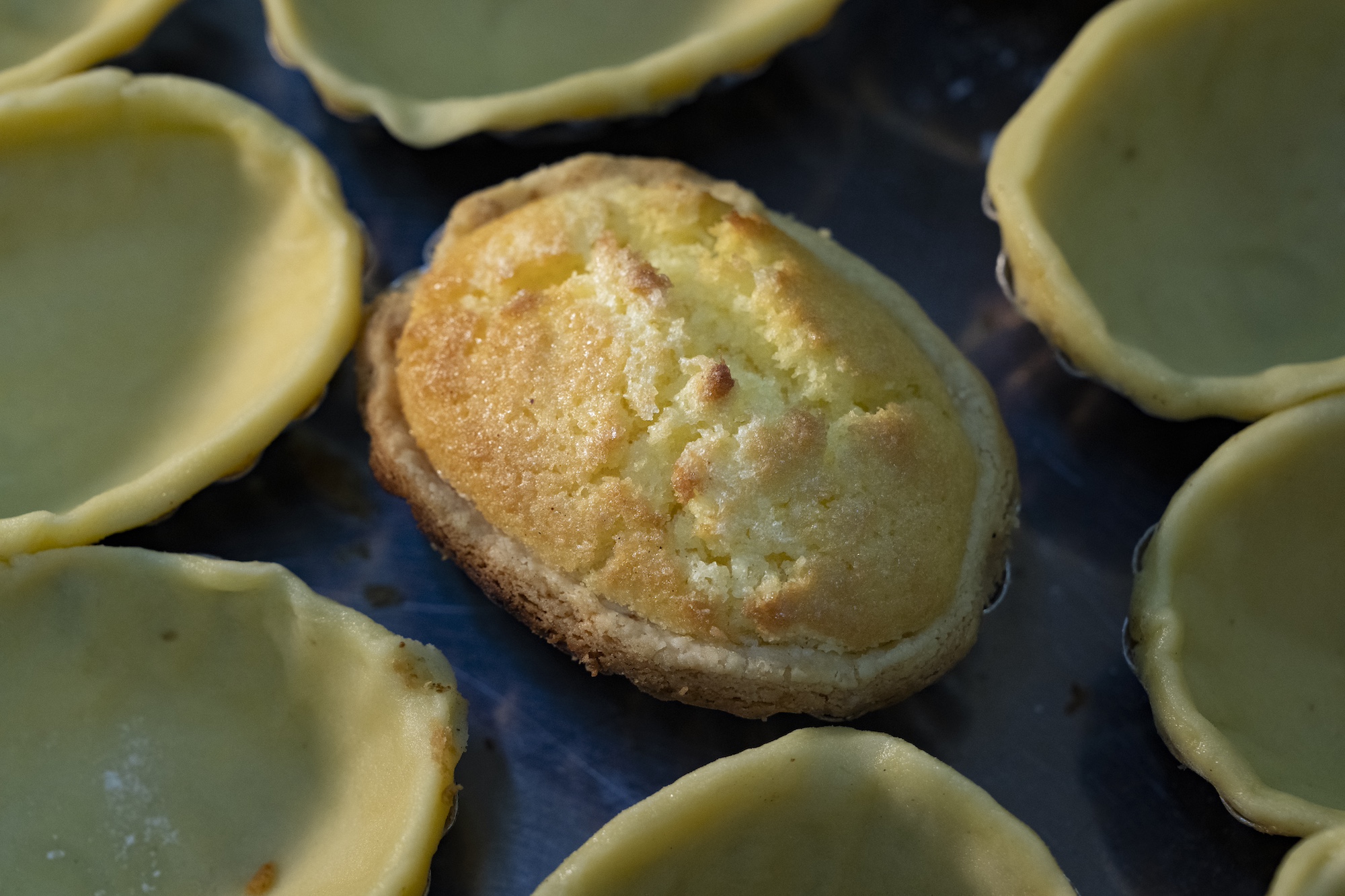 Coconut tarts have a moist, custard-coated grated coconut filling and a crisp, tender and buttery shortcrust pastry