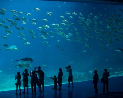 Macao Hengqin island