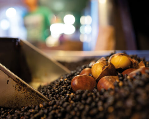 Macao chestnuts