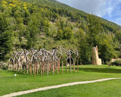 Jutting out of the canopy, the sculpture recalls the trunk of an old giant, stripped of limbs and bark