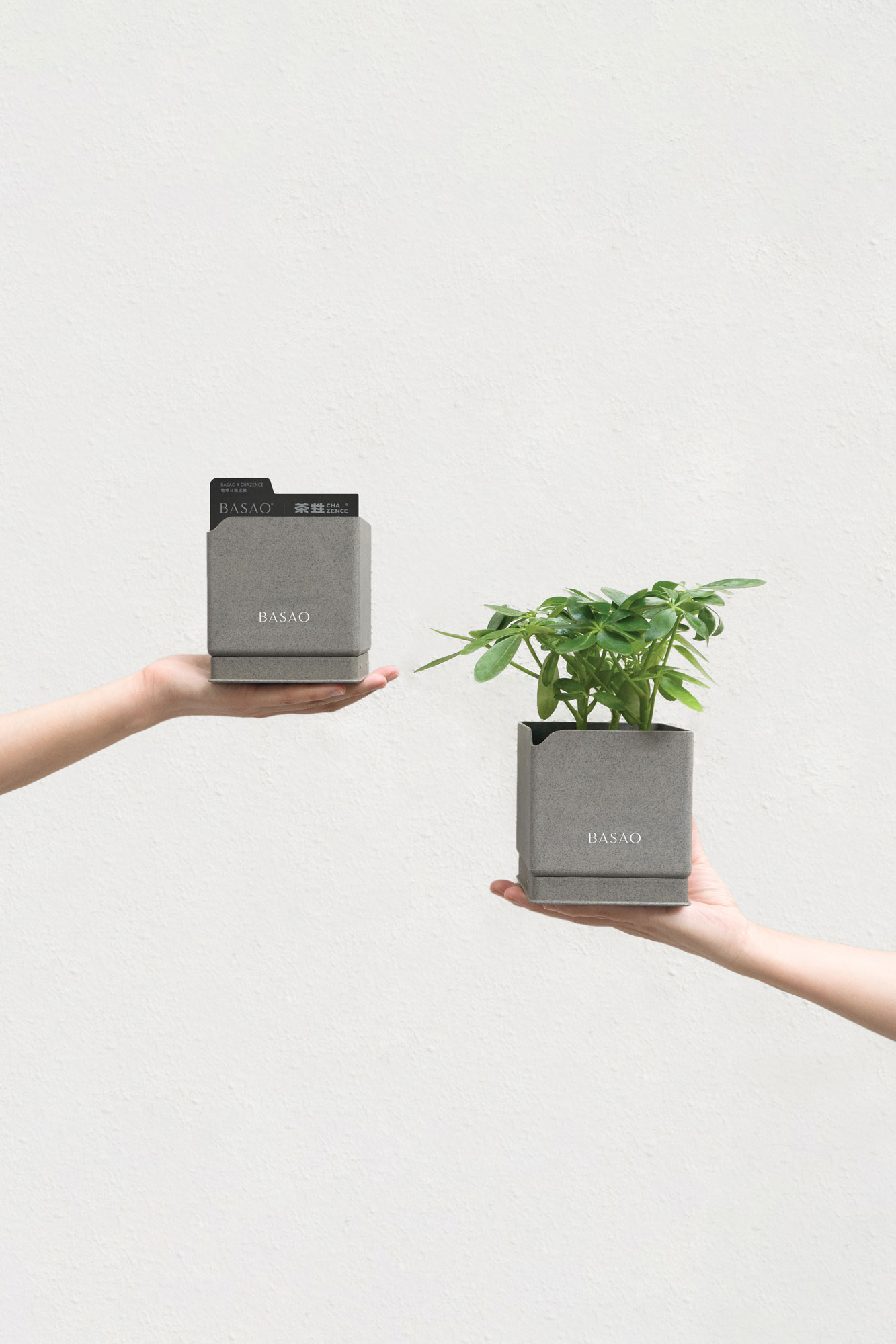 Tea board, tea plastic and soon tea paper can be used as low-emission, biodegradable alternatives to their namesakes