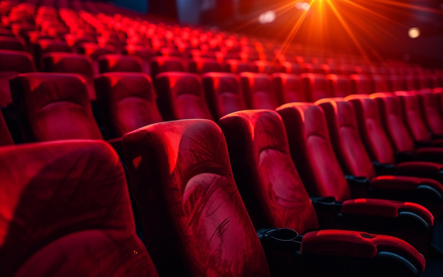 Lights, culture, action