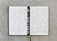 ‘Insects Series’ (2010-2015) by Zhu Yingchun
