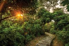 A view taken from one of the paths along the 4.29-kilometre-long Coloane North-East Hiking Trail Network. It is categorised into three trails – the Coloane North-east Hiking Trail, the Acacia Woods Walk and the Golf Course Walk, each with varying difficulty levels.