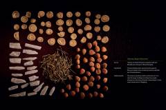 Maxing Shigan Decoction