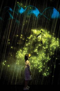 Stunning interactive digital installations have been wowing visitors to The Venetian Macao since TeamLab's 5,000-square-metre SuperNature exhibition opened on 15 June. This image shows one of the pieces. Born From the Darkness a Loving and Beautiful section, where the artworks mix elegant calligraphy with immersive sound
