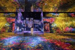 Valley of Flowers and People: Lost, Immersed and Reborn showcases flowers through the seasons that bloom in front of your eyes