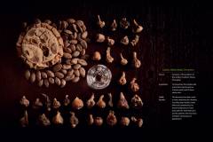 Gualou Xiebai Baijiu Decoction