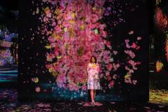 An image from the Valley of Flowers and People: Lost, Immersed and Reborn section of TeamLab’s exhibition, which features seasonal change over the course of a year. Not pre-recorded, this installation is programmed to continuously render new images in real-time, offering a unique experience with each visit