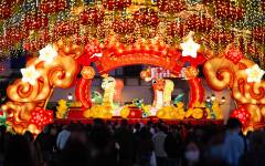 Excited crowds gathered under a sparkling canopy to enjoy light installations marking the start of the Year of the Snake
