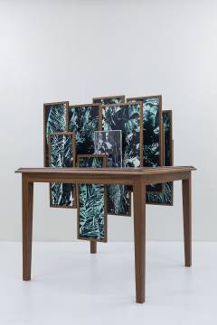 ‘Botany’ (2012-2014) by Vasco Araújo